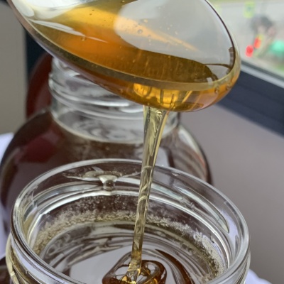 Продам: Свежий цветочный мёд из Псковской области.