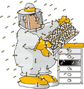 О некоторых нормативно-правовых актах, регулирующих отношения в пчеловодстве