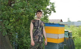 Карпатские пчелы из Мукачева — некусачие