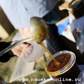Госветнадзор и полицейские изъяли 40 кг мёда без документов на трассе Чита — Хабаровск