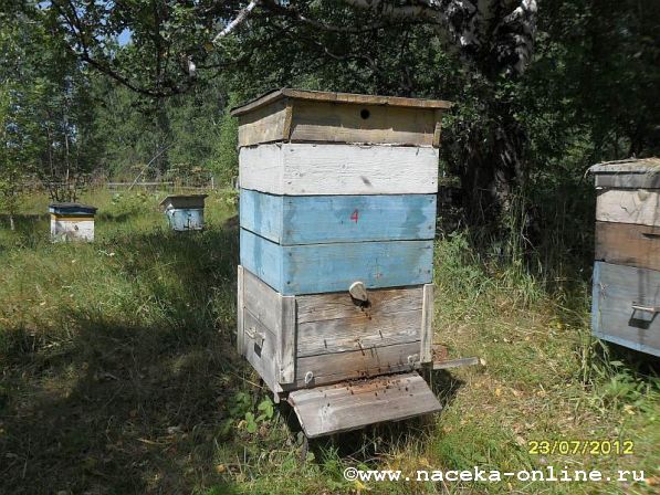 Содержание пчёл в 12 рамочном улье...