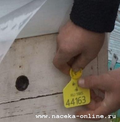Изображение:627 - В Башкортостане пчелиные ульи уже чипированы