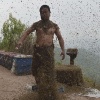 Костюм из 450 тысяч пчёл