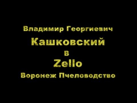 В Г Кашковский встреча с пчеловодами в канале Воронеж Пчеловодство Zello 28 02 2019