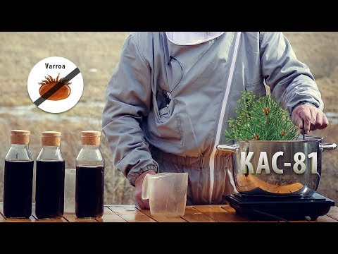 Готовим эффективный КАС-81 для пчёл