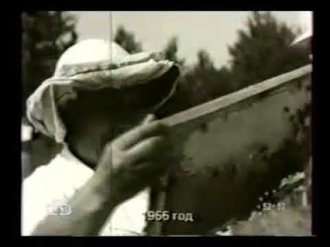 Пчеловодческий совхоз, 1966